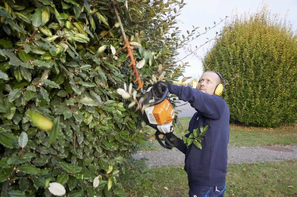 2510 seriance cocorette ck 25 result